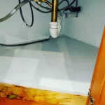 dryontime-mold-remediation-2