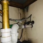 dryontime-mold-remediation-3
