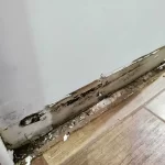 dryontime-restoration-services-9