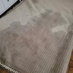 dryontime-water-damage-18