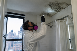 Mold removal technician inspecting a bathroom ceiling in a NYC apartment